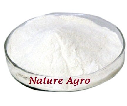 blog-image