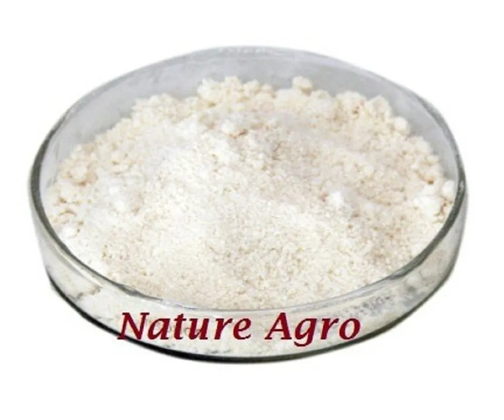 Rozar Fungicide Powder