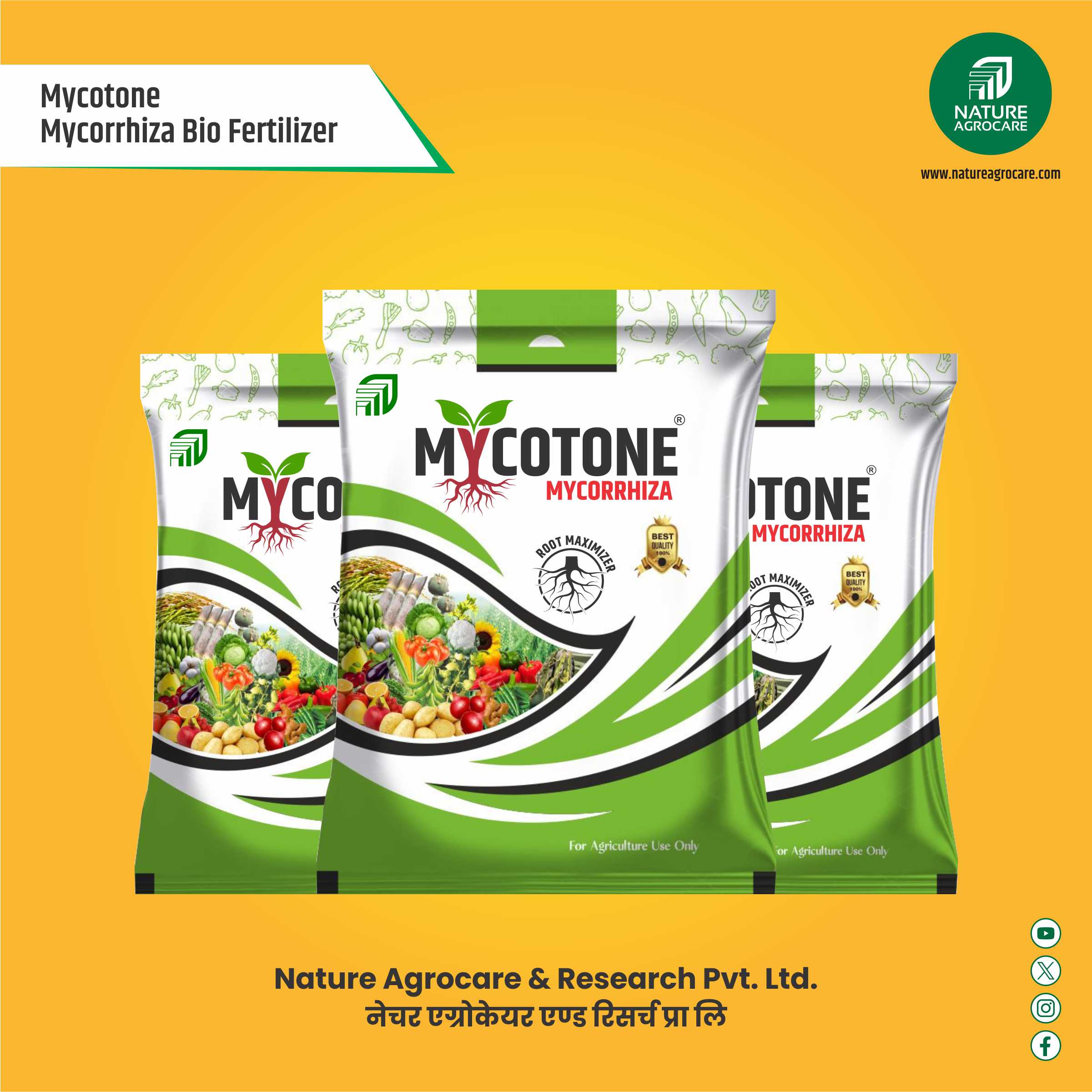 Mycotone Mycorrhiza
