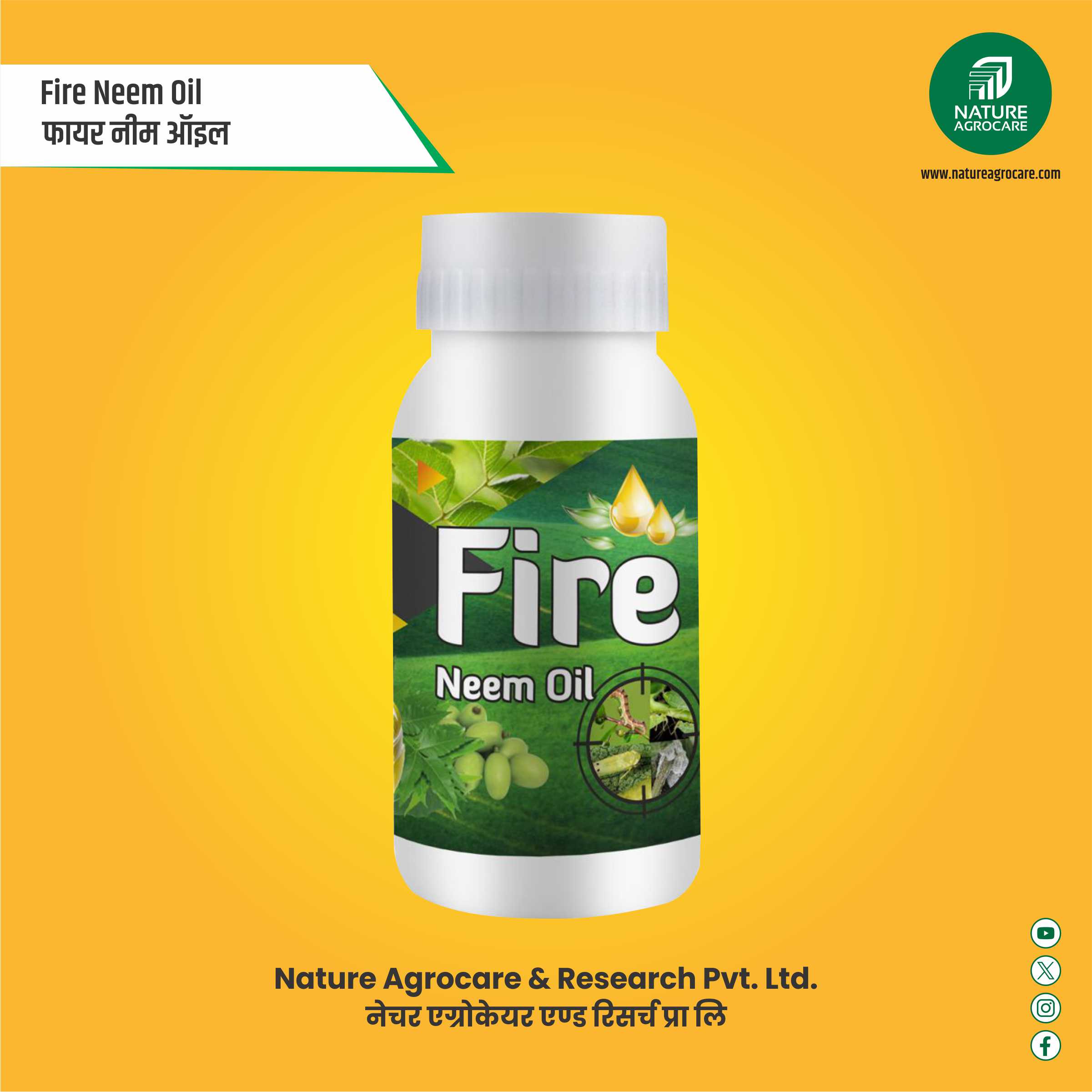 Nature Fire